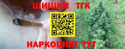 сатива Краснознаменск