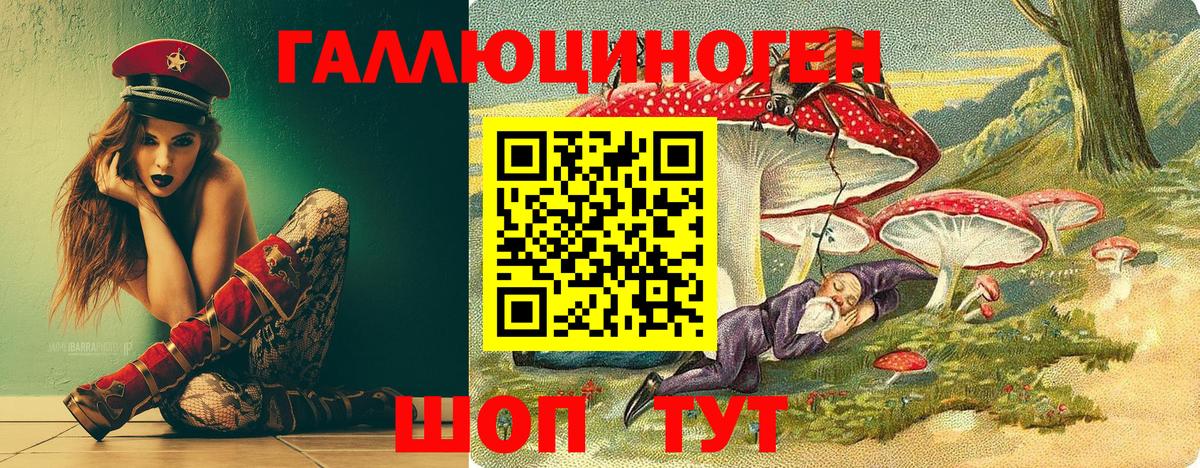 Камень-на-Оби  Галлюциногенные грибы прущие грибы  Вход с VPN 